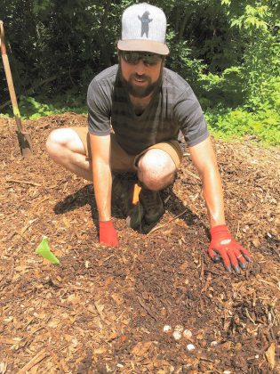 GreenUP Ecology Park's Garden Nursery Assistant found turtle eggs that had been laid in the Garden Market mulch pile. The eggs have been flagged and will not be disturbed, in an effort to support their proper development. Turtles lay their eggs in sand, gravel, or a similar substrate that is exposed to the sun. (Photo: GreenUP)