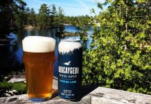 Bobcaygeon Brewing Company is one of four cottage country breweries to try this summer. Pictured is the Common Loon American Pale Ale, one of their flagship brews. (Photo: Bobcaygeon Brewing Company)