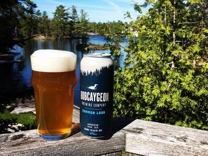 Bobcaygeon Brewing Company is one of four cottage country breweries to try this summer. Pictured is the Common Loon American Pale Ale, one of their flagship brews. (Photo: Bobcaygeon Brewing Company)