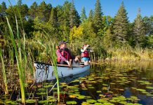 On Friday, July 21, you can spend a day at one of Ontario's 330 provincial parks for free (photo: Ontario Parks)