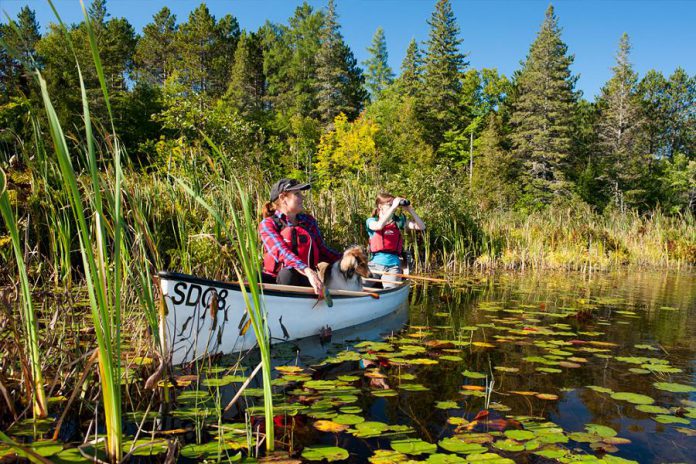 On Friday, July 21, you can spend a day at one of Ontario's 330 provincial parks for free (photo: Ontario Parks)