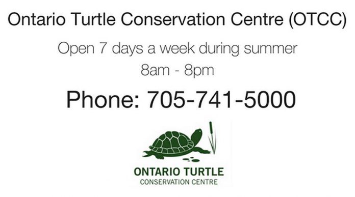 If you find an injured turtle, call the Ontario Turtle Conservation Centre at 705-741-5000.