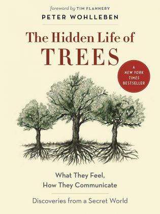 The Hidden Life of Trees