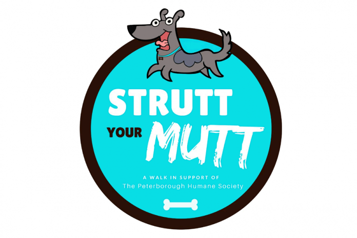 Strutt Your Mutt