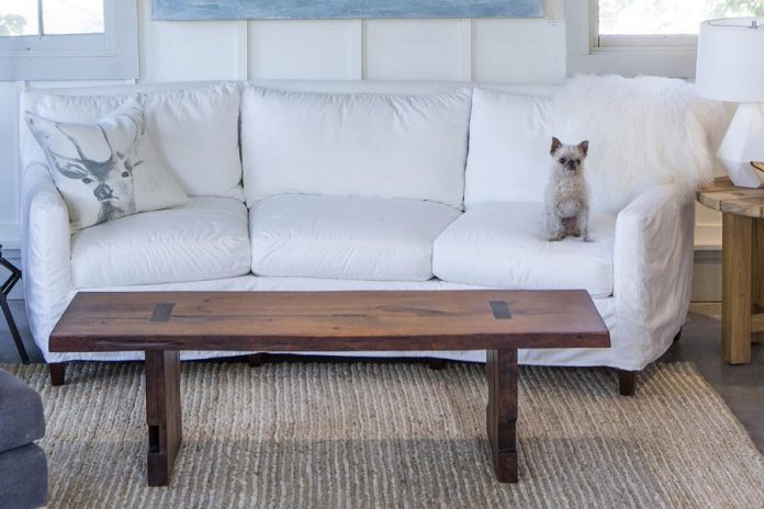 Stony Lake Furniture Co. is raffling off this $4,600 sofa in support of Lakefield Animal Welfare Society. Shop dog Owen the Griff is not included. (Photo: Stony Lake Furniture Co.)