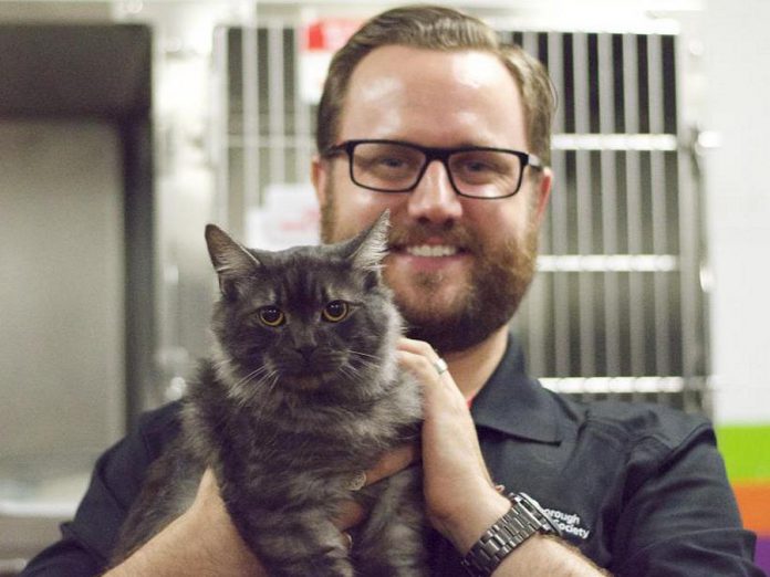 Andrew Fraser, Executive Director of the Peterborough Humane Society, with one of the many cats available for adoption from the society. Until August 31st, all cats and kittens are available for adoption for $50 each. (Photo: Peterborough Humane Society)