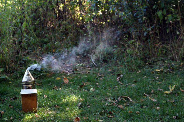 Beekeepers smoke the hive before entering. Cedar shavings and burlap are added to a hive smoker, which is a stainless steel device with a long nose with built in bellows used to create a smouldering fire that funnels smoke out the top so that it can be aimed at the hive. (Photo: GreenUP)