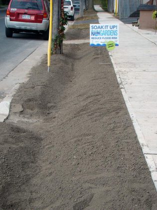 GreenUP is installing three of the eight rain gardens within boulevard areas to help capture rain from the road, with the remainder being planted in front yards to capture rain from rooftops. (Photo: GreenUP)