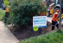 GreenUP is installing eight rain gardens in Peterborough's The Avenues neighbourhood. A small rain garden can divert as much as 50,000 cubic metres from a single storm, and can also help to naturally filter and clean water and reduce flooding. (Photo: GreenUP)