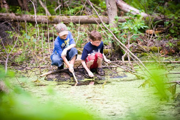 Camp Kawartha is dedicated to fostering stewardship. Both locations offer curriculum-linked and interactive outdoor programs that are both educational and fun for elementary and secondary students.  (Photo: Camp Kawartha)