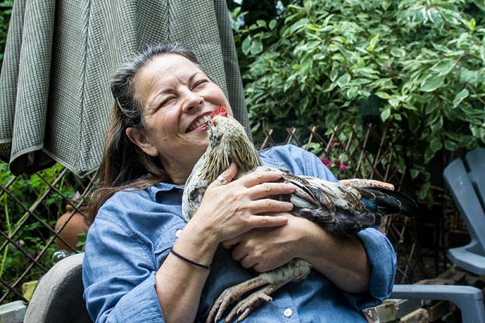 On Sunday afternoon, Port Hope chef-turned-writer Signe Langford will present the seminar "Farm Fresh Eggs and Backyard Hens".