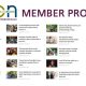 WBN Member Profiles