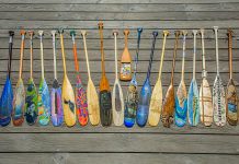 A few of the more than 170 paddles submitted to Algonquin Outfitters for their Tom Thomson Paddle Art Contest. The paddles will be auctioned off with proceeds going to support local arts. (Photo: Algonquin Outfitters)