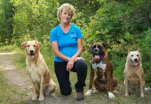 For Karen Laws, owner of Ontario Dog Trainer, training dogs has always been her passion. A certified dog trainer, she also educates owners on how to create a trusting and respectful relationship between human and dog.