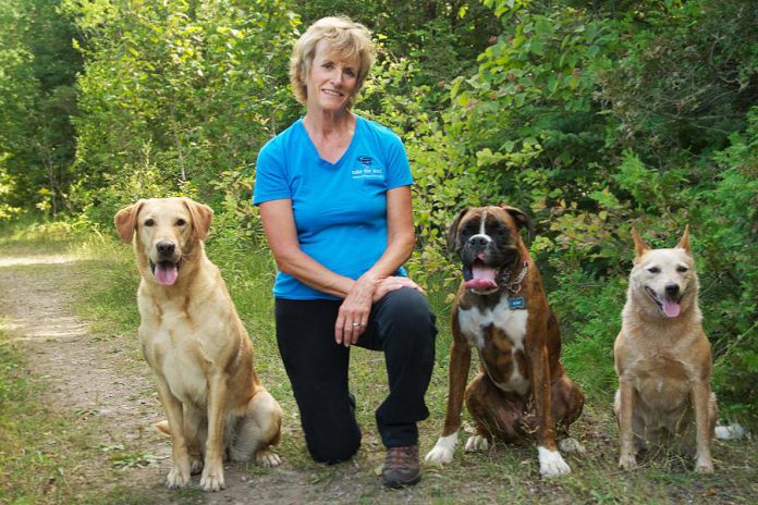 For Karen Laws, owner of Ontario Dog Trainer, training dogs has always been her passion. A certified dog trainer, she also educates owners on how to create a trusting and respectful relationship between human and dog.