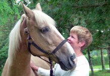 Sunny the horse with Jennifer Garland, owner and program director of The Mane Intent, which uses facilitated equine experiential learning to help teams, families, and individuals uncover their potential. (Photo: The Mane Intent)