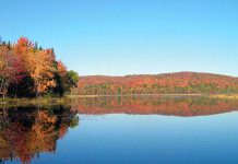 In advance of the Kawartha Chamber of Commerce & Tourism's annual Awards Gala, bidding is now open for a couples getaway package at Couples Resort in Whitney on the edge of Algonquin Park, a $1632 value with all proceeds supporting the Kawartha Chamber of Commerce & Tourism. (Photo: Couples Resort)