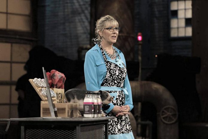 Leslie Bradford-Scott making her pitch on CBC Television's "Dragons' Den" in 2016. (Photo: CBC)