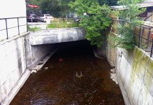Urban development often involves burying or channelizing waterways, as seen here in Peterborough where Jackson Creek flows beneath streets and buildings in the downtown core. This type of "grey" infrastructure changes the natural flow of water through these areas, causing concerns with frequent flooding. (Photo: GreenUP)