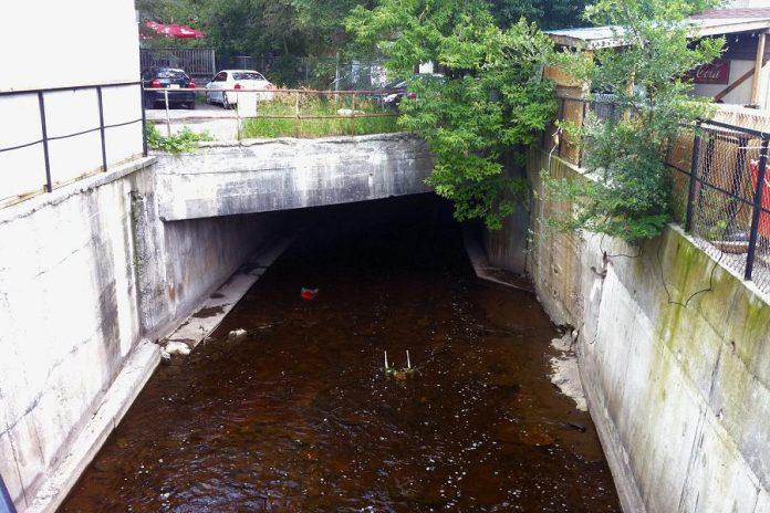 Urban development often involves burying or channelizing waterways, as seen here in Peterborough where Jackson Creek flows beneath streets and buildings in the downtown core. This type of "grey" infrastructure changes the natural flow of water through these areas, causing concerns with frequent flooding. (Photo: GreenUP)