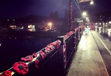 Some of the more than 2,000 hand-crafted poppies volunteers have installed on the Constable Thomas Kehoe Memorial Bridge across the York River in Bancroft. (Photo: Hospice North Hastings / Facebook)