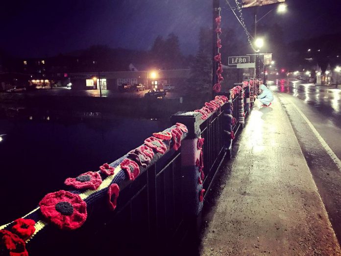 Some of the more than 2,000 hand-crafted poppies volunteers have installed on the Constable Thomas Kehoe Memorial Bridge across the York River in Bancroft. (Photo: Hospice North Hastings / Facebook)