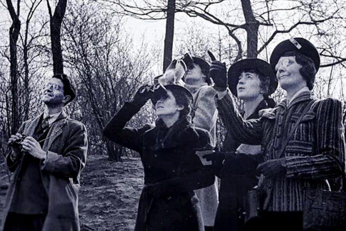 The Christmas Bird Count, which began in 1900 as an conservation-oriented alternative to a Christmas day hunting tradition, is the world's longest-running citizen science project. (Photo; Audubon)