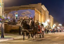 Horse-drawn wagon rides are one of the many activities available during Christmas in the Village in Millbrook on the evening of Thursday, December 7. (Photo: Marjorie McDonald)