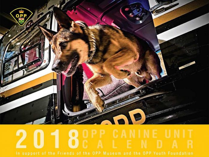 The OPP Canine Unit 2018 calendar is raising funds for the OPP Youth Foundation and Friends of the OPP Museum. The $15 calendar is available at OPP detachments across Ontario. (Photo: OPP)