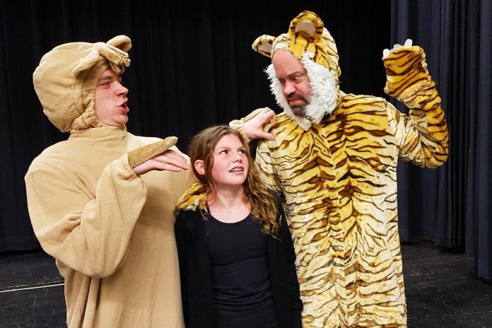 Aidan Wilson as Baloo, Asha Hall-Smith as Mowgli, and Dan Smith as Shere Khan in Arbor Theatre's upcoming holiday production of "The Jungle Book" at Showplace Performance Centre in downtown Peterborough on December 7th and 8th. (Photo: Arbor Theatre)