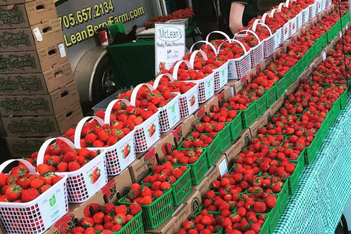 McLean Berry Farm is one of the seven local vendors threatened with expulsion from the Peterborough Farmers' Market. McLean Berry Farm has sold its locally grown produce at the market for 27 years. (Photo: McLean Berry Farm / Facebook)