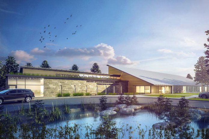 A design concept for the new state-of-the-art Peterborough Humane Society building, which will be the first humane society building in Canada to include three animal welfare programs under one roof: a pet adoption centre, a regional spay and neuter clinic, and the first-ever provincial dog rehabilitation centre. (Illustration: LETT Architects Inc.)