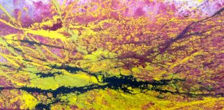 There's a lot going on during the First Friday Art Crawl in downtown Peterborough on February 2nd, including meeting artist Robert Atyeo at Black Honey and taking in his latest abstract series. (Photo courtesy of Robert Ateyo)