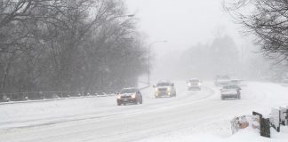 Cars in snow