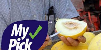 The Farmers' Markets Ontario "MyPick Verified Local Farmer" program certifies that Farmers’ Markets Ontario has visited the farmers and has verified that they’re selling only what they produced. The organization is recommending that the Peterborough Farmers' Market and the local community fully embrace the program. (Graphic: Farmers' Markets Ontario)