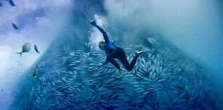 The documentary "Blue" is one of many environmental films beings screened at ReFrame Film Festival this weekend. The film is a poignant view of the environmental dangers to marine life with an exploration of the how industrial-scale fishing, habitat destruction, species loss, and pollution have placed the ocean in peril over the last century. (Photo: Alex Hofford / Greenpeace)