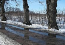 Melting snow on a rural road