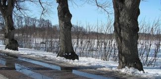 Melting snow on a rural road