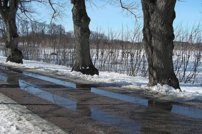 Melting snow on a rural road