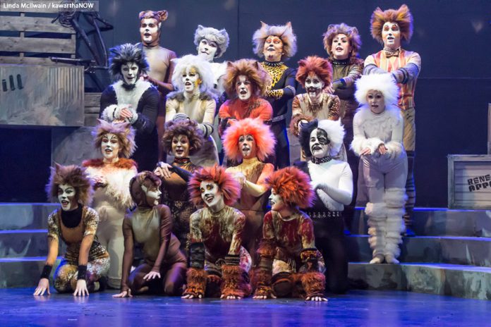 "The Musical of Andrew Lloyd Webber in Concert" features 13 performers singing sones from all 16 shows written by Andrew Lloyd Webber during his career, including from hit shows like "Cats" (as shown here in the 2015 Peterborough Theatre Guild production) as well as more obscure productions like 2015's "The Likes of Us". Tickets are still available for the one-night-only performance on February 23, 2018 at Showplace Performance Centre. (Photo: Linda McIlwain / kawarthaNOW)