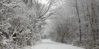 Snow-covered country road in winter