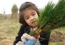 The deadline for ordering tree and shrub seedlings from Otonabee Conservation is Friday, March 23, 2018. Seedlings will be available for pick-up in late April. (Photo courtesy of Otonabee Conservation)