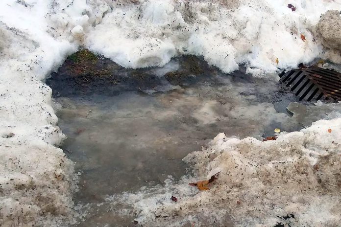 A storm drain blocked by snow and ice on Simcoe Street in downtown Peterborough. Flooded areas can quickly turn to ice patches if the temperature falls again; using minimal salt and keeping litter out of the snowbanks will also help to keep contaminants our of our local waterways. (Photo: Karen Halley)