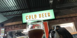 Brown Bag Tour Company offers a Northumberland craft beer tour with lots of personality. (Photo: Anna Kowalski)