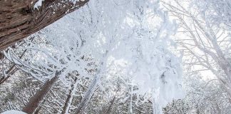 A detail from a photo posted on Instagram by outdoor photographer Andrew Holden that he took at Warsaw Caves. When we shared Andrew's photo, it received almost 7,000 views from our Instagram followers, making it the most popular photo for January. (Photo: Andrew Holden @andy.holden / Instagram)