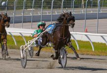 On March 23, 2018, the Ontario government announced $105 million in long-term funding to support the province's horse racing sector and additional supports for smaller racetracks and those experiencing financial shortfalls. The additional funds may help Kawartha Downs in Fraserville, which will lose 85 per cent of its revenue when Shorelines Casinos moves its 450 slot machines to the new casino in Peterborough. (Photo: Kawartha Downs)