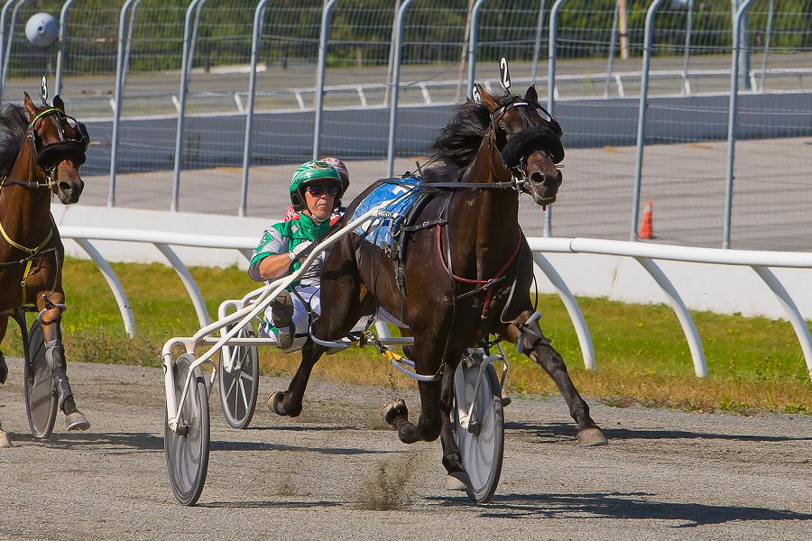 Kawartha downs raceway