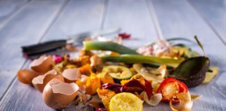Peterborough City Council has approved funding to support the development of a single-source organics pickup program in Peterborough, similar to other Ontario municipalities. The program will collect curbside kitchen waste for residents beginning in fall 2019.