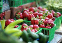 Locally grown strawberries are only a few months away! The Lakefield Farmers' Market is now accepting applications for new agricultural, prepared food, and artisanal vendors. The market opens for the season on Thursday, May 24th. (Photo: Lakefield Farmers' Market)