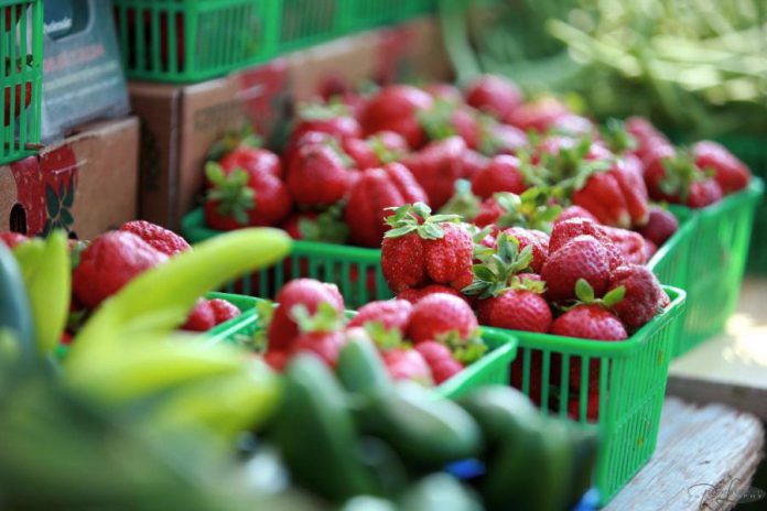 Locally grown strawberries are only a few months away! The Lakefield Farmers' Market is now accepting applications for new agricultural, prepared food, and artisanal vendors. The market opens for the season on Thursday, May 24th. (Photo: Lakefield Farmers' Market)